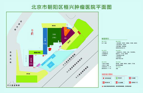 狂操s逼北京市朝阳区桓兴肿瘤医院平面图